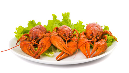 boiled crawfish and lettuce
