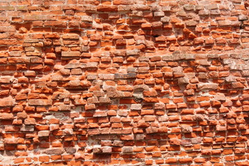 The red brick wall - obrazy, fototapety, plakaty