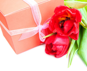 bouquet of  tulips, gift box on a white background