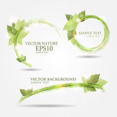 Set of three banners with fresh green leaves - 51173660
