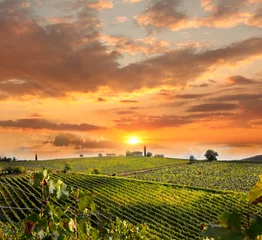 Rolgordijnen Chianti, famous vineyard in Italy © Tomas Marek