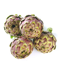 Obraz premium Artichokes - Carciofi