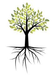 Tree with roots