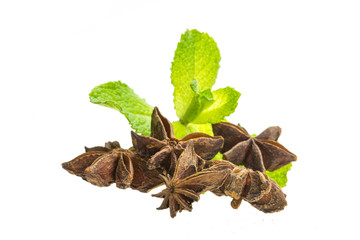 Star Anise and Mint