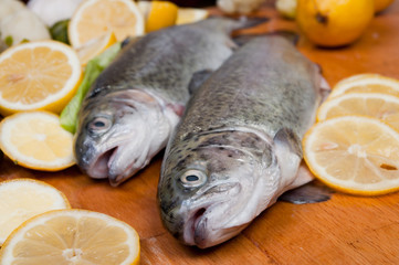 Trout in lemons