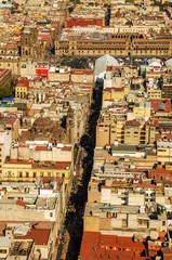 Gordijnen Mexico City Cathedral and Zocalo © jkraft5