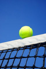 Tennis ball