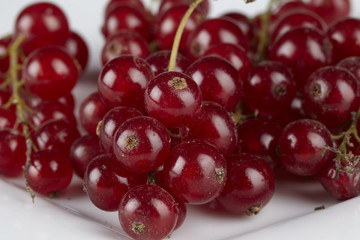 Johannisbeeren auf einem Teller - close up