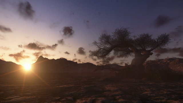 Solitary Tree and Mountain at Sunset, Time Lapse