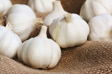 Garlics on linen (manual focus)