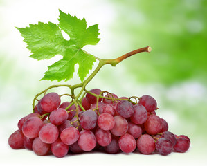 grapes with leaf on green background