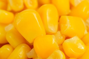 Canned Sweet Corn Kernels Close-Up