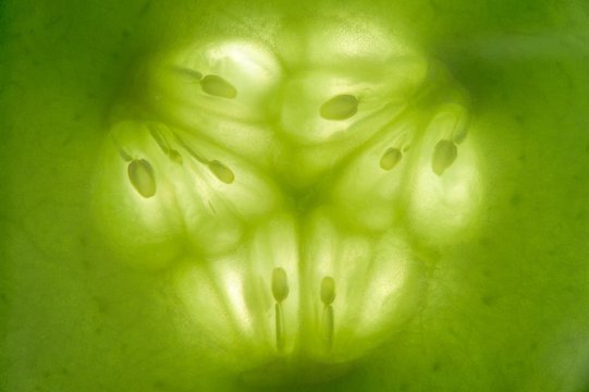Cucumber Slice Macro