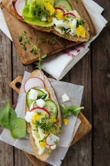 Sandwiches wit egg, lettuce, radish and cucumber - obrazy, fototapety, plakaty