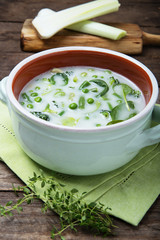 Spring vegetable soup in a pot
