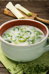 Spring vegetable soup in a pot