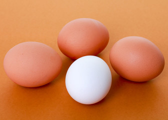 Eier