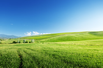 hills in sunny day Tuscany, Italy
