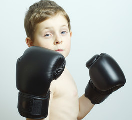 Boxer