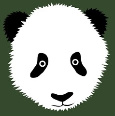 Panda Head