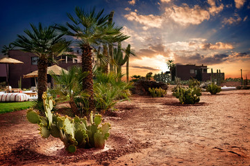 Oasis au Maroc