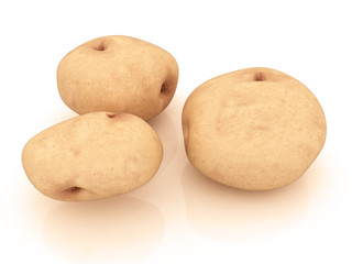 Fototapeta premium Real potato on a white background close up