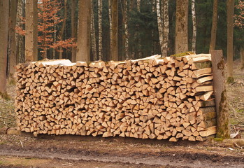 Holzscheite für Kaminofen