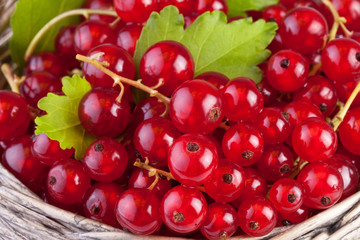 red currant in basket with leafs in close up