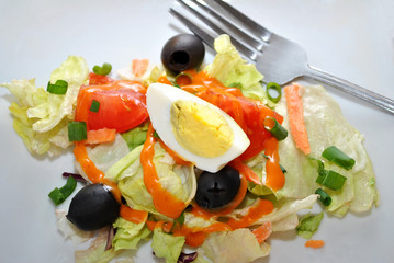 Healthy Salad with French Dressing