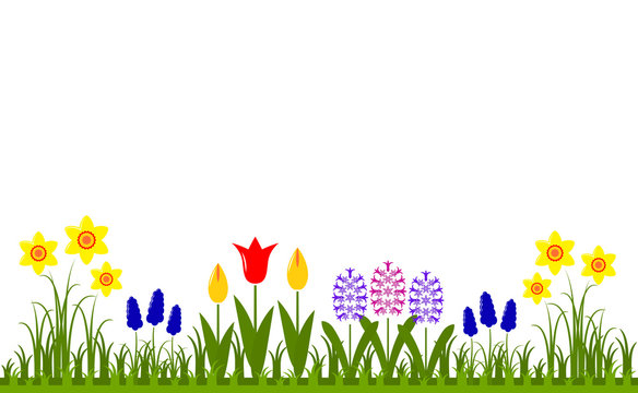 spring flowers