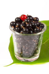 a glass of black currant