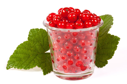 a glass of red currant