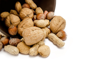 Various kinds of nuts, isolated over white and dark background