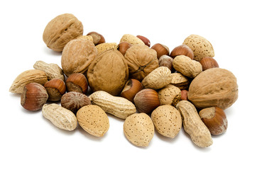Various kinds of nuts