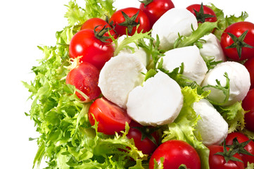 fresh lettuces salad with fresh  tomatoes and mozzarella