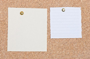 Two memo notes on a cork bulletin board