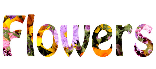 Word flowers making with bright flowers