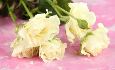 Obraz na płótnie Canvas Piękne białe róże zbliżenie, na kolor tła