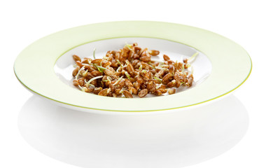 Wheat germs on plate isolated on white