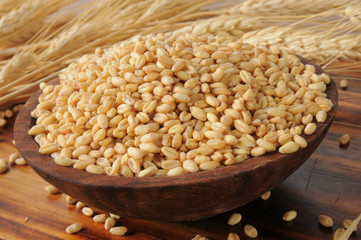 Whole wheat kernels
