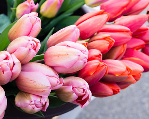 Fototapeta premium Tulip flowers for sale at the market