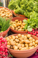 Display of fresh vegetables at the market