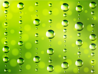 Abstract dew green background