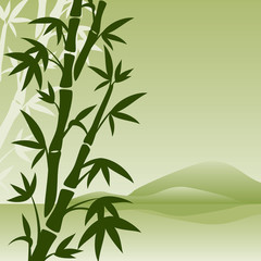 landscape with bamboo