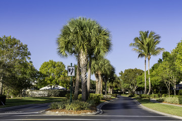 Fototapeta premium Road to community in Naples, Florida