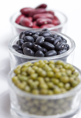 a variation of dried beans