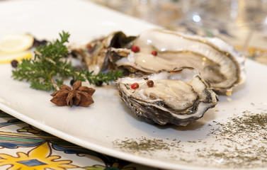 Raw oysters with ice