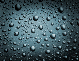 bubbles