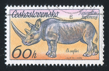 Naklejka premium Rhinoceros