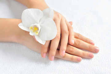 Obraz na płótnie Canvas Beautiful woman hands with white orchid flower
